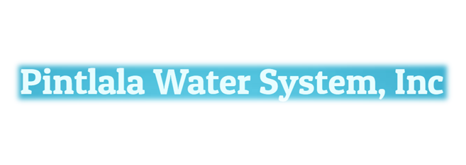 Pintala Water System